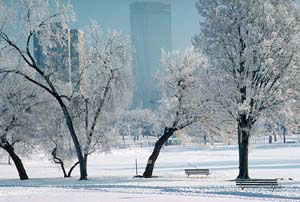 Northern Exposure 02